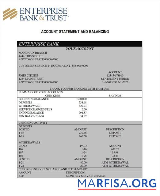 Realistic Nigeria Enterprise Bank account statement word template